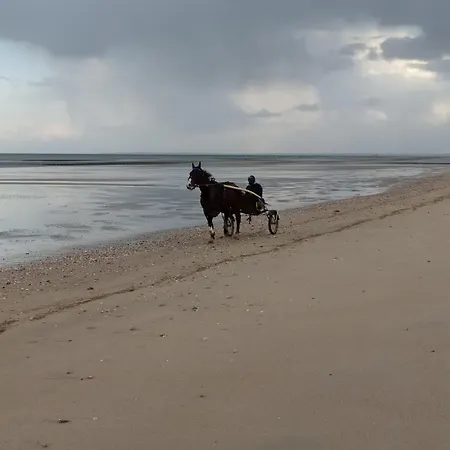 Maisonnette Le A 50m De La D'asnelles , 3km D'arromanches, 10km De Bayeux Σπίτι διακοπών